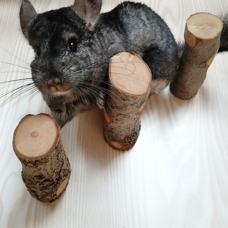 Woodworking Rabbet - Zabawka dla chomika, naturalna gałązka jabłoni,