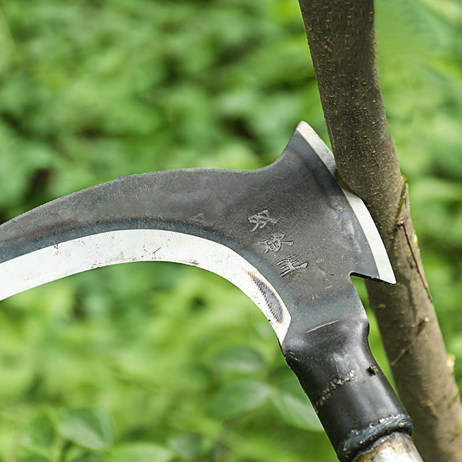 Stalowa siekiera ogrodnicza z  – Woodworking Rasp recenzja i cena
